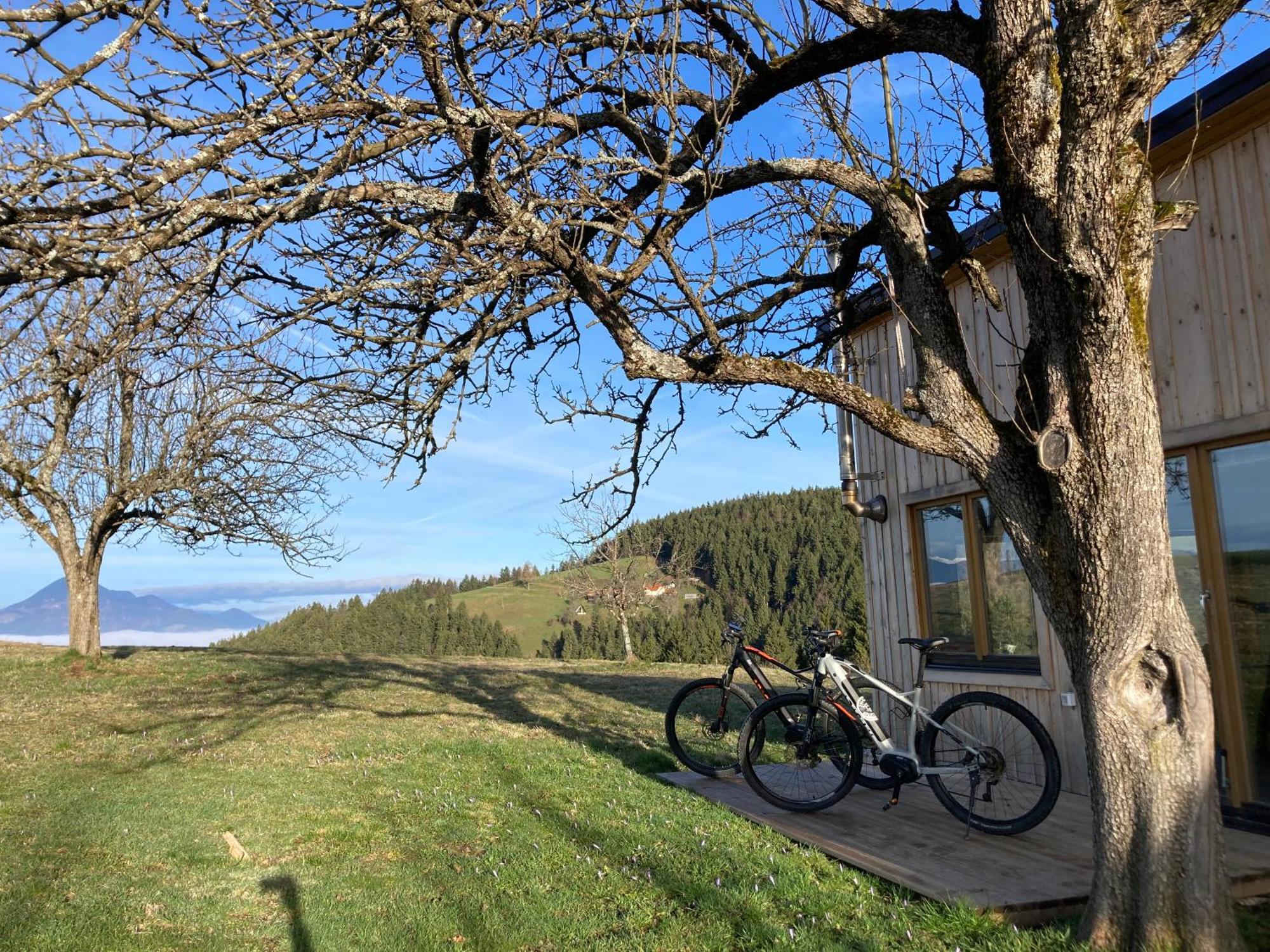 Tiny House Villa Mislinja Exterior photo